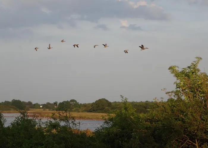 Zum Leuchtturm By Interhome